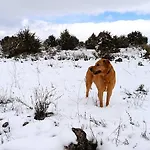 בית הארחה Rural El Canon Del Duraton En Villaseca De